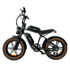 Vélo électrique pliant PVY X20 IT - Moteur 250 W Batterie 48 V 15 Ah*2 Pneus 20 pouces Frein à disque hydraulique - Noir