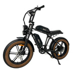 Vélo électrique pliant PVY X20 IT - Moteur 250 W Batterie 48 V 15 Ah*2 Pneus 20 pouces Frein à disque hydraulique - Noir