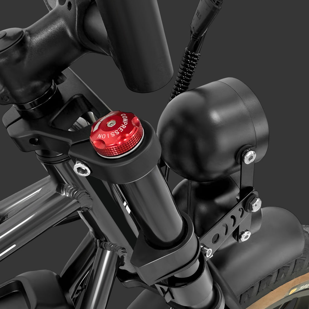 Vélo électrique pliant PVY X20 IT - Moteur 250 W Batterie 48 V 15 Ah*2 Pneus 20 pouces Frein à disque hydraulique - Noir