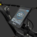 Vélo électrique pliant PVY X20 IT - Moteur 250 W Batterie 48 V 15 Ah*2 Pneus 20 pouces Frein à disque hydraulique - Noir
