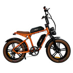 E-Bike PVY X20 IT - 250W Motor 48V15AH*2 Battery 20-inch Tires Hydraulic Disc Brake - Orange