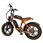 E-Bike PVY X20 IT - 250W Motor 48V15AH*2 Battery 20-inch Tires Hydraulic Disc Brake - Orange