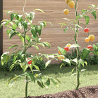 vidaXL Tomaten-Spiralstäbe 50 Stk. 110 cm Verzinkter Stahl
