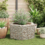 vidaXL Sechseckiges Gabionen-Hochbeet 100×90×50 cm