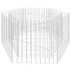 vidaXL Sechseckiges Gabionen-Hochbeet 100×90×50 cm
