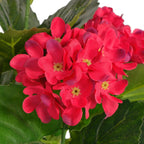 vidaXL Künstliche Hortensie mit Topf 60 cm Blau