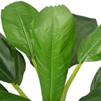 vidaXL Künstlicher Bananenbaum mit Topf 150 cm Grün
