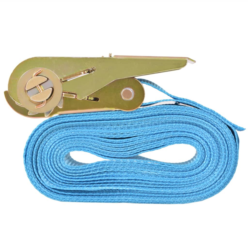 vidaXL Ratschen-Spanngurte 10 Stk. 0,8 Tonnen 4m×25mm Blau
