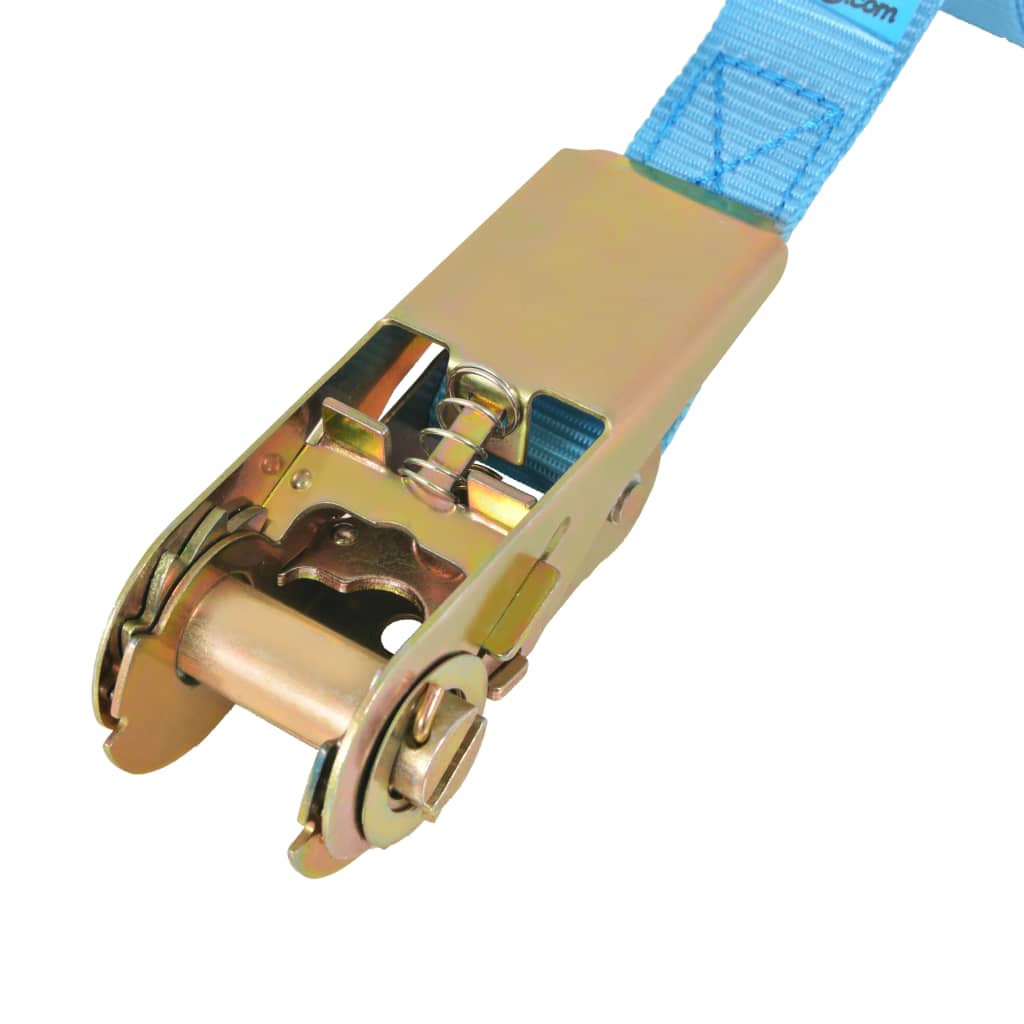 vidaXL Ratschen-Spanngurte 10 Stk. 0,8 Tonnen 4m×25mm Blau