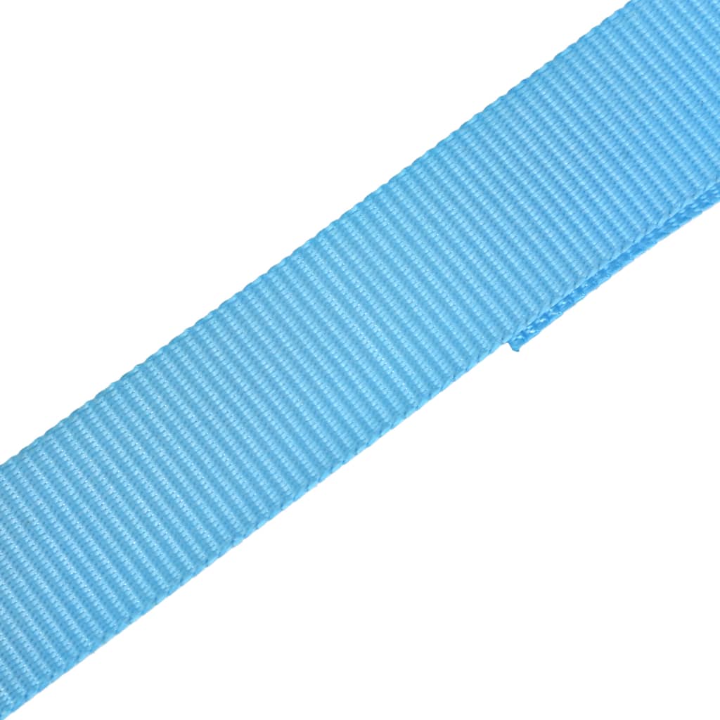 vidaXL Ratschen-Spanngurte 10 Stk. 0,8 Tonnen 4m×25mm Blau