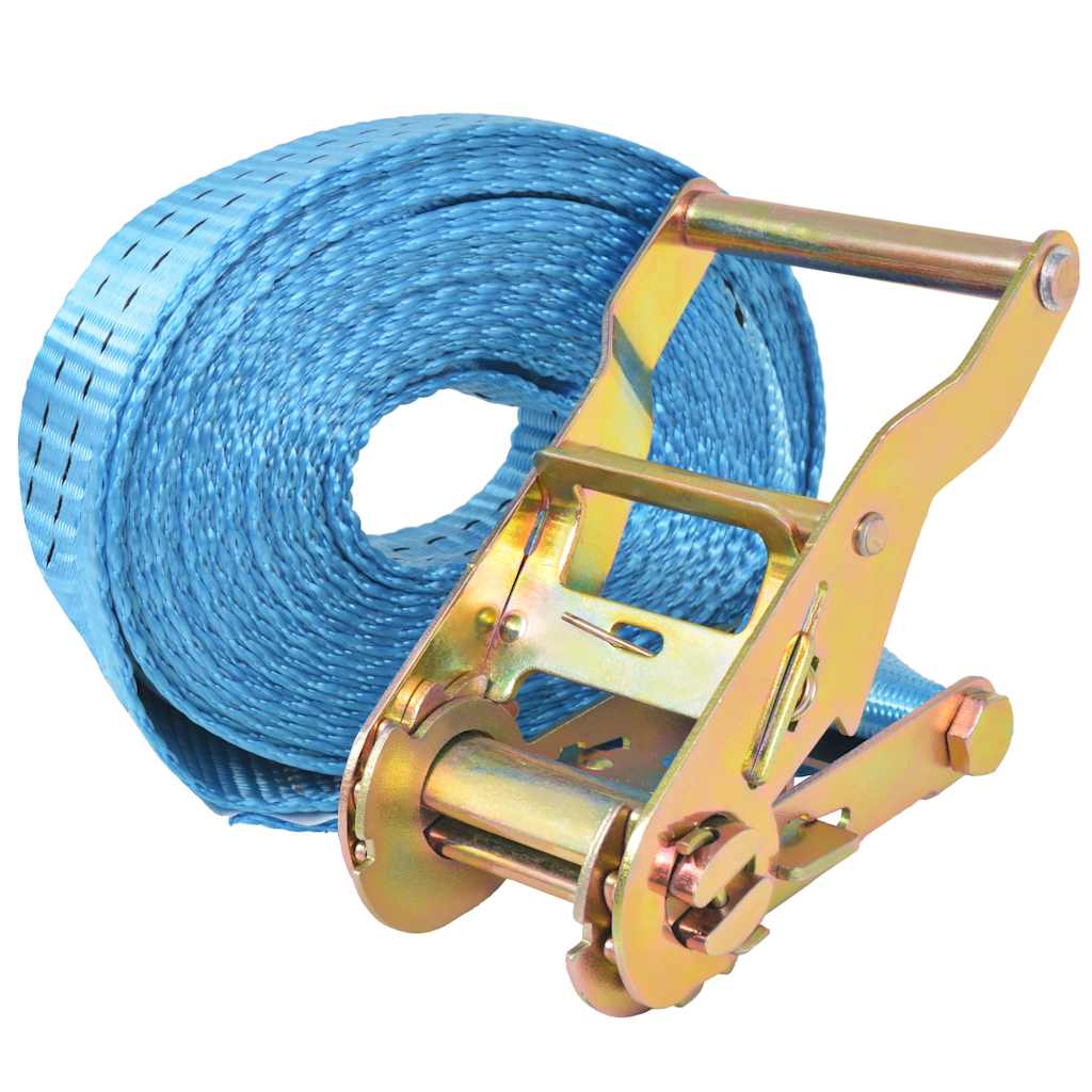vidaXL Ratschen-Spanngurte 4 Stk. 2 Tonnen 6m×38mm Blau