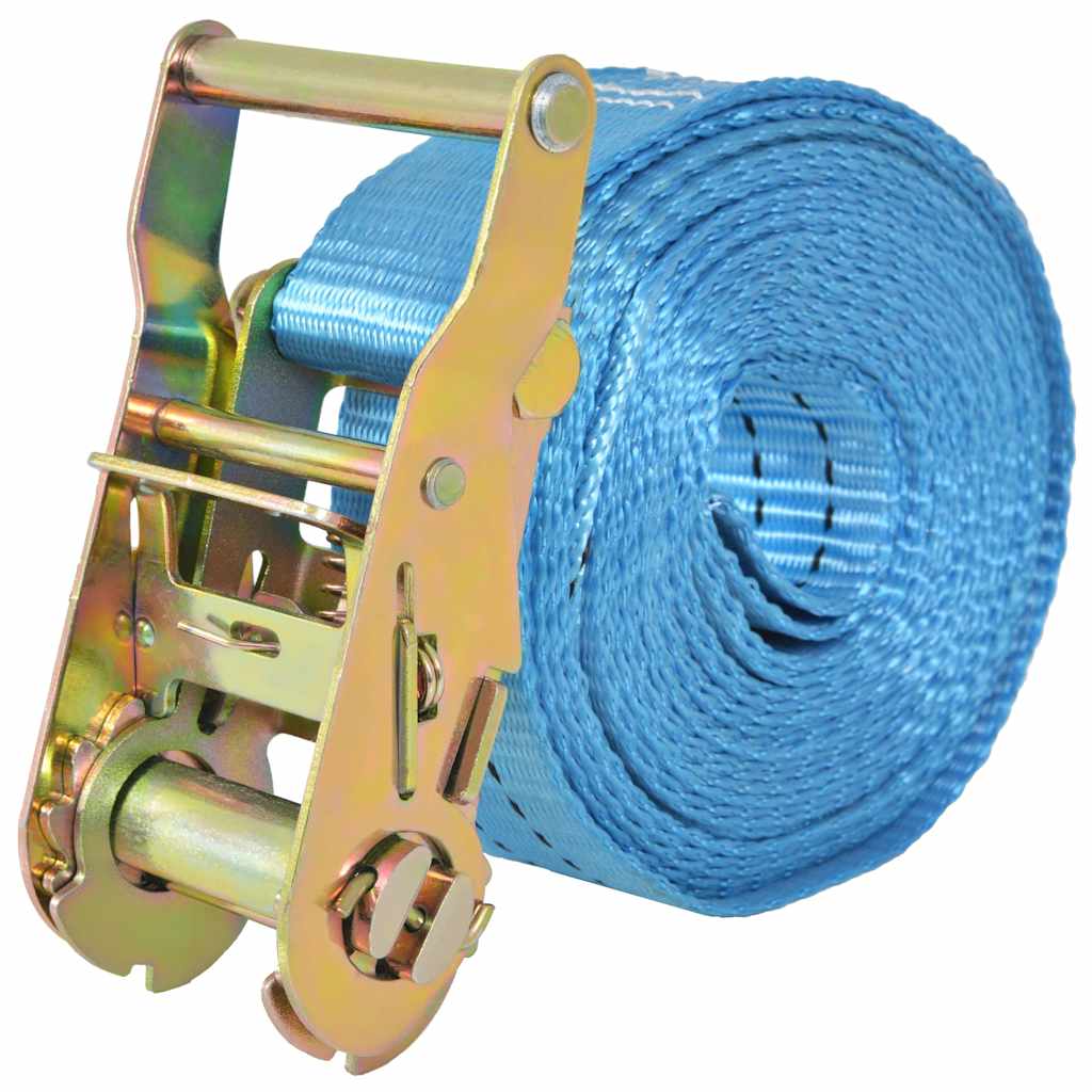 vidaXL Ratschen-Spanngurte 4 Stk. 2 Tonnen 6m×38mm Blau