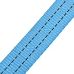 vidaXL Ratschen-Spanngurte 4 Stk. 2 Tonnen 6m×38mm Blau