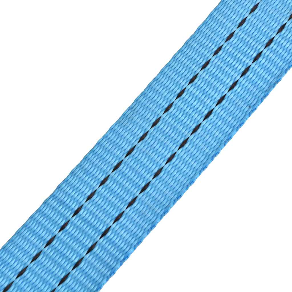 vidaXL Ratschen-Spanngurte 4 Stk. 2 Tonnen 6m×38mm Blau