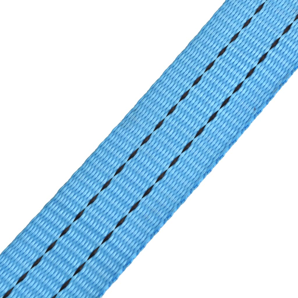 vidaXL Ratschen-Spanngurte 10 Stk. 2 Tonnen 6m×38mm Blau
