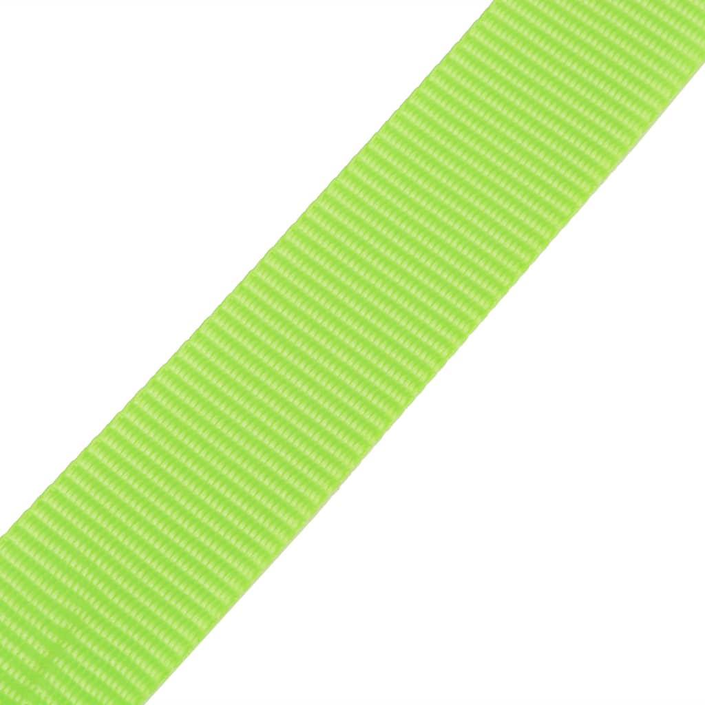 vidaXL Spanngurte 10 Stk. 0,25 Tonnen 5m×25mm Neongrün