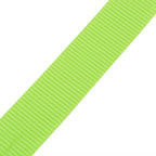 vidaXL Spanngurte 10 Stk. 0,25 Tonnen 5m×25mm Neongrün