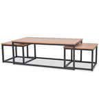 vidaXL 3-tlg. Couchtisch-Set Eschenholz