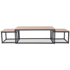 vidaXL 3-tlg. Couchtisch-Set Eschenholz