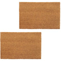 vidaXL Natürliche Fußmatten 2 Stk. Coir 24 mm 40x60 cm