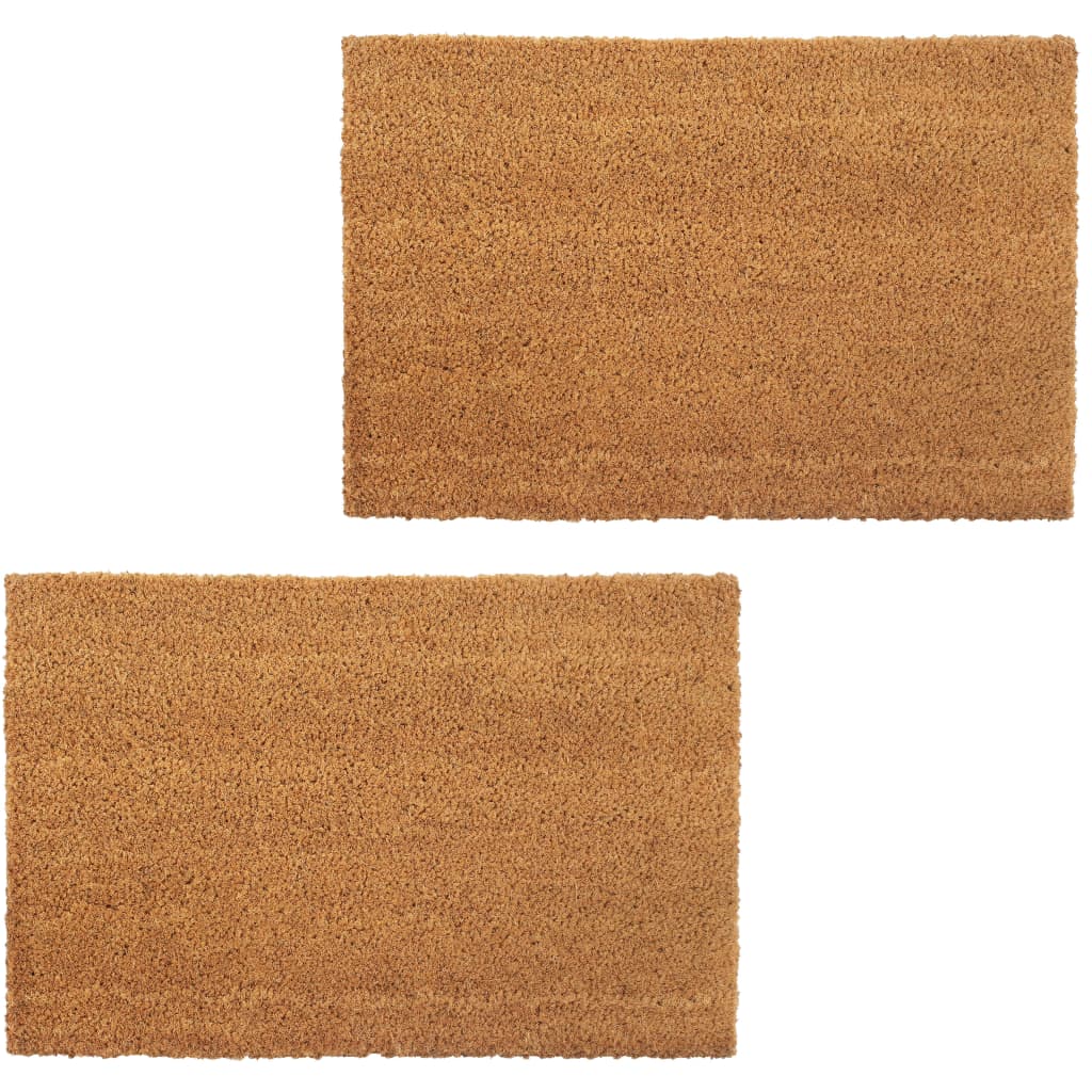 vidaXL Natürliche Fußmatten 2 Stk. Coir 24 mm 40x60 cm