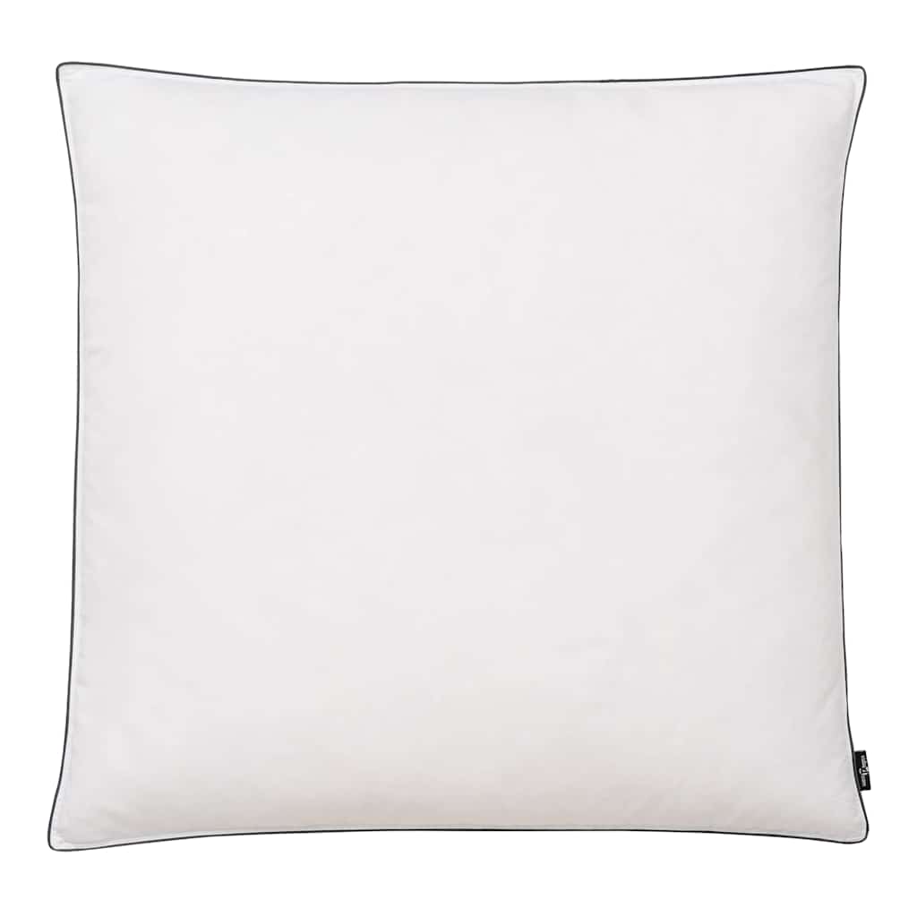 vidaXL Kissen 2 Stk. Daunen-/Federfüllung Leicht 80x80 cm Weiß