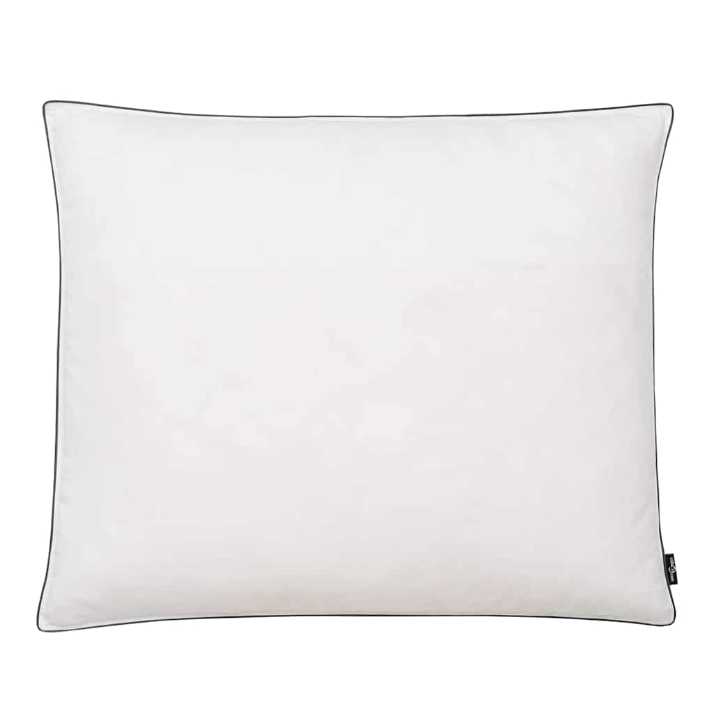 vidaXL Kissen 2 Stk. Daunen-/Federfüllung Leicht 80x80 cm Weiß