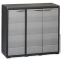 vidaXL Gartenschrank mit 2 Böden Schwarz und Grau