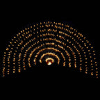 vidaXL Led-Net Dunkelgrün