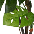 vidaXL Künstliche Monstera Fensterblatt mit Topf 70 cm Grün