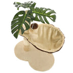 vidaXL Katzen-Kratzbaum mit Sisal-Kratzstange 50 cm Beige und Braun