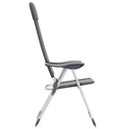 vidaXL Klappbare Campingstühle 2 Stk. Grau Aluminium