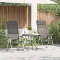 vidaXL Klappbare Campingstühle 4 Stk. Grau Aluminium