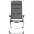 vidaXL Campingstuhl 2 Stk. Grau 58 x 69 x 111 cm Aluminium