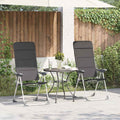 vidaXL Campingstuhl 2 Stk. Grau 58 x 69 x 111 cm Aluminium