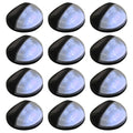 vidaXL Outdoor Solar-Wandleuchten LED 12 Stk. Rund Schwarz
