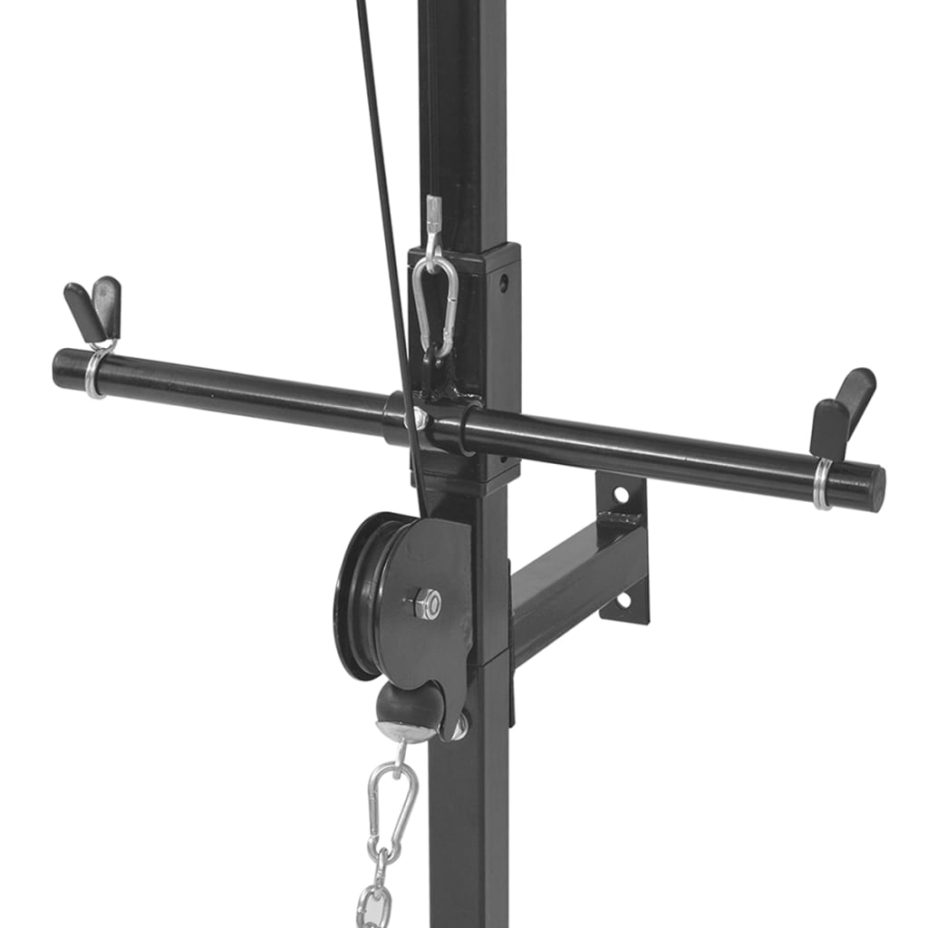 vidaXL vidaXL Fitnessstation Wandmontage mit Gewichtsscheiben 40 kg