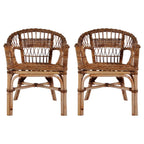 vidaXL Gartenstühle 2 Stk. Natürliches Rattan Braun