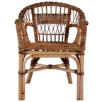 vidaXL Gartenstühle 2 Stk. Natürliches Rattan Braun