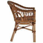 vidaXL Gartenstühle 2 Stk. Natürliches Rattan Braun
