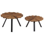 vidaXL Couchtische 2 Stk. Altholz Massiv