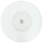 vidaXL Servierplatte Drehbar Transparent 60 cm Hartglas