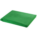 vidaXL Fotohintergrund ohne Ständer Baumwolle Grün 300x300 Chroma-Key