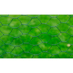 vidaXL Drahtzaun mit PVC-Beschichtung 25x0,5 m Grün