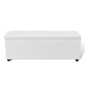 vidaXL Bank mit Stauraum Weiß 118x44x44 cm