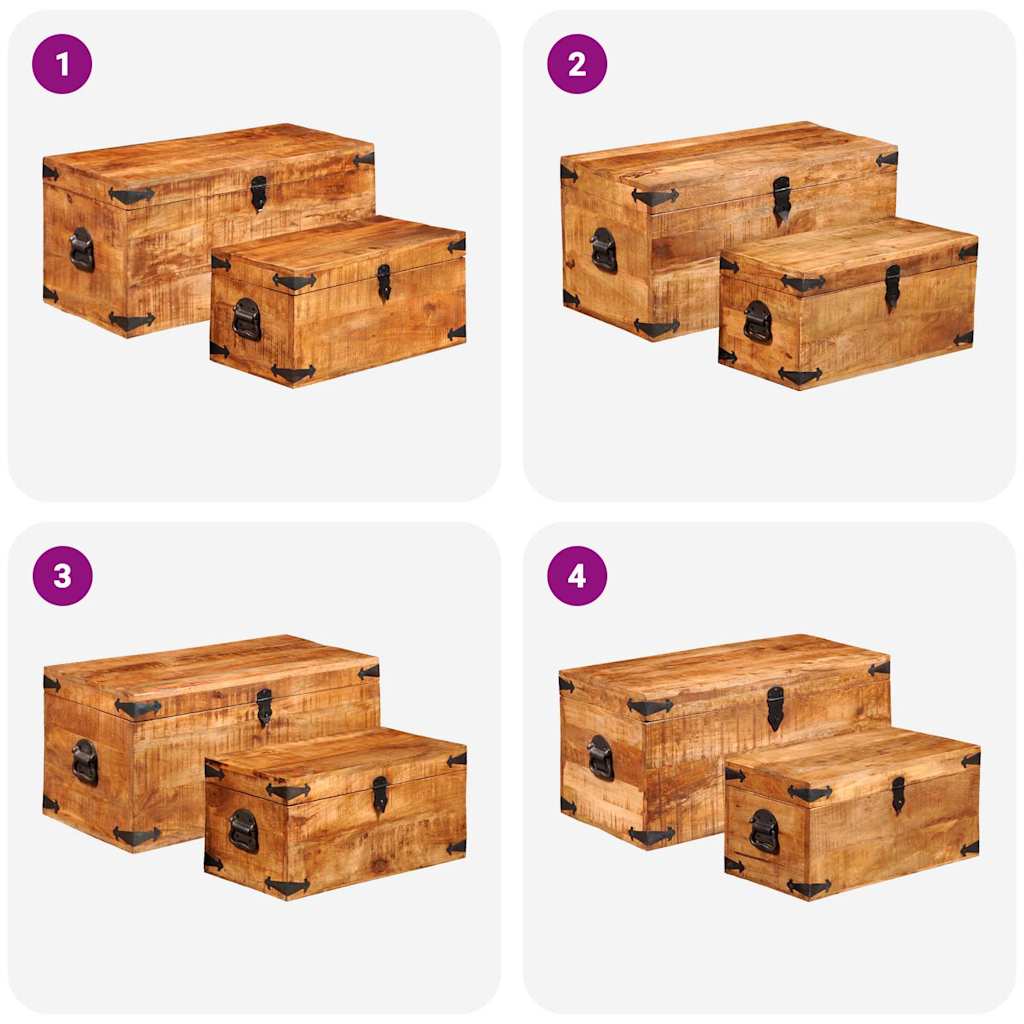 vidaXL 2-tlg. Truhen-Set Raues Mangoholz
