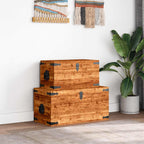 vidaXL 2-tlg. Truhen-Set Raues Mangoholz