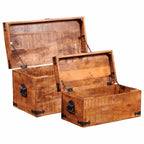vidaXL 2-tlg. Truhen-Set Raues Mangoholz