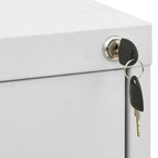 vidaXL Aktenschrank Hellgrau 46x62x102,5 cm Stahl