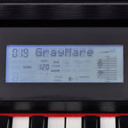 vidaXL Digitalpiano mit 88 Tasten und Pedalen Schwarz Melaminplatte